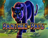 Panther Pays